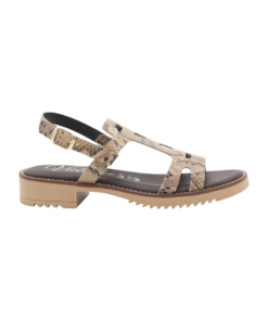 Valeria ‘s 2635 Γυναικείο Χαμηλό Πέδιλο σε Καφέ Χρώμα (Snake Print)